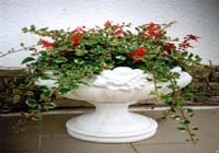 Vasi per piante di marmo artificiale